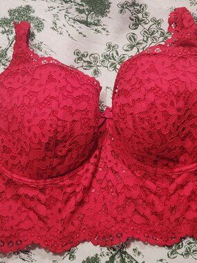 Victoria's Secret Body by Victoria Lined Demi Red Lace Corset Longline Bra 38DD